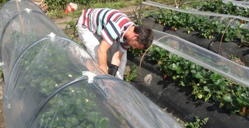 Trabajan en una evolución de los microtúneles, para que no haya que agacharse tanto