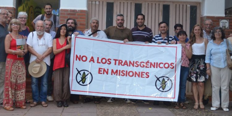 Como si fuera un país aparte, en Misiones se dividen por el maíz transgénico