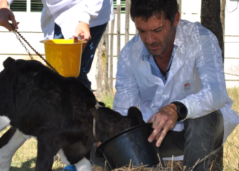 Nicolás Mucci, del INTA: “Hoy es muy fácil comprar por internet herramientas para hacer edición génica”