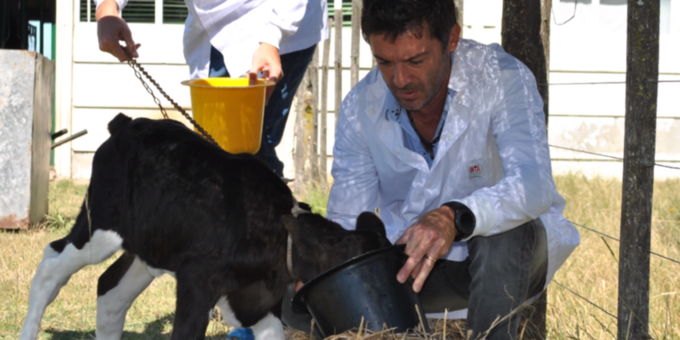 Nicolás Mucci, del INTA: “Hoy es muy fácil comprar por internet herramientas para hacer edición génica”