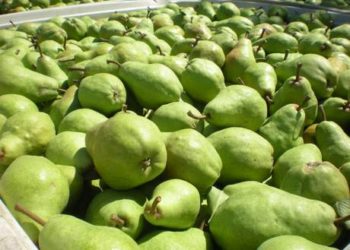 Según la CAME, en 32 sectores “se registra un nulo o escaso nivel de rentabilidad”