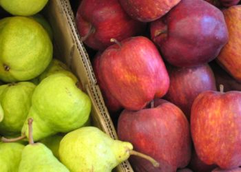 Federico Sacheri, productor de frutas: “El impacto de la devaluación se sintió en los costos y no en los precios”