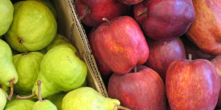 Federico Sacheri, productor de frutas: “El impacto de la devaluación se sintió en los costos y no en los precios”