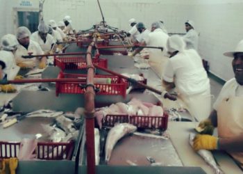 No tan pescados: Una empresa familiar crecerá gracias a “la máquina de hacer hamburguesas”