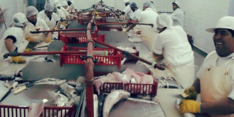 No tan pescados: Una empresa familiar crecerá gracias a “la máquina de hacer hamburguesas”