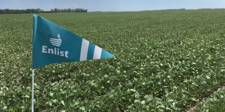 Dos sojas transgénicas de interés para la Argentina fueron liberadas por China