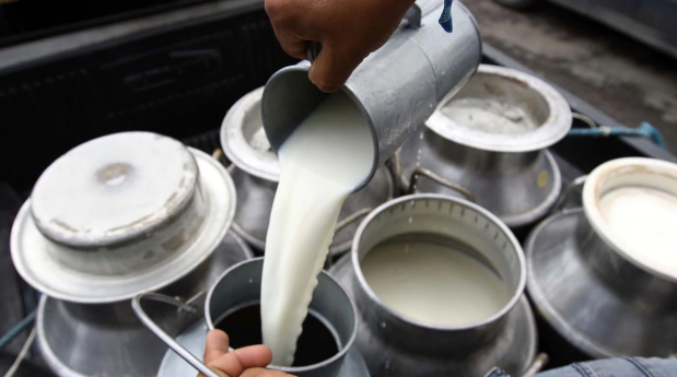 En 2018 se produjo más leche, pero perdiendo plata y con mayor concentración