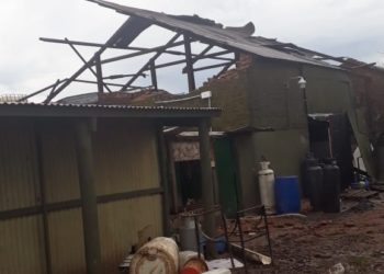 Un tornado arrasó con el tambo, pero el mismo día pudieron volver a ordeñar