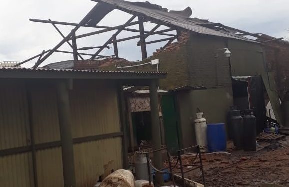 Un tornado arrasó con el tambo, pero el mismo día pudieron volver a ordeñar