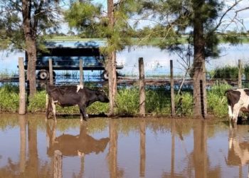 Otro tambo que cierra: Culpa de la inundación y de las miserias de la política