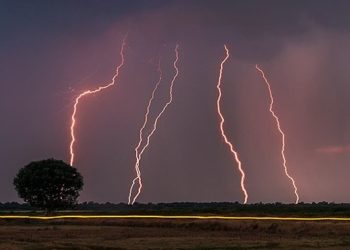 Jorge Ramayon: “Los desastres del campo”