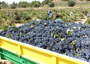 El Cuyo cierra filas para reclamar la eliminación de las neo-retenciones