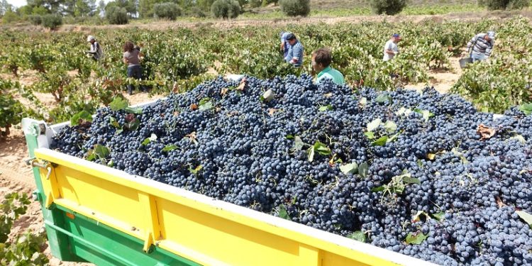 El Cuyo cierra filas para reclamar la eliminación de las neo-retenciones