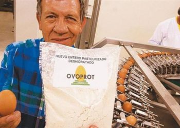 Juan Antonio Perea: “La industria del huevo necesita un dólar de 48 pesos para equiparar la competitividad cambiaria que tenía”