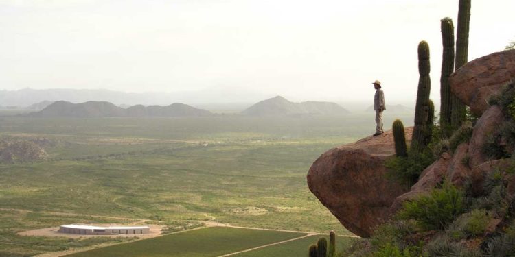 Sabores y saberes: La sana locura de un aventurero que llegó una noche a Chañarmuyo