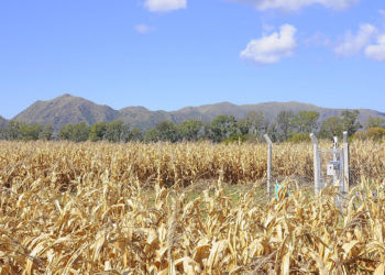 Una vía de escape ante la presión social: IRAM certificó como “Municipios verdes” a dos ciudades cordobesas
