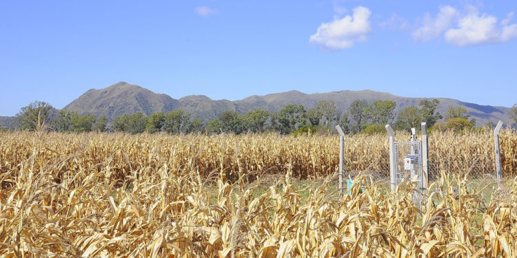 Una vía de escape ante la presión social: IRAM certificó como “Municipios verdes” a dos ciudades cordobesas