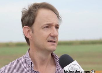 Mauro Mortarini: “A esta tasa de aparición de malezas resistentes, se acabarán los principios activos para combatirlas”