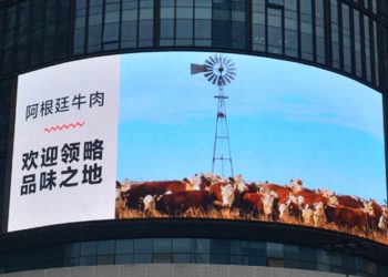 Alta dependencia: En enero casi el 70% de la carne exportada fue para China