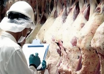 Números para entender la fuerte suba de la carne: Las exportaciones ya se llevan el 22% de la oferta