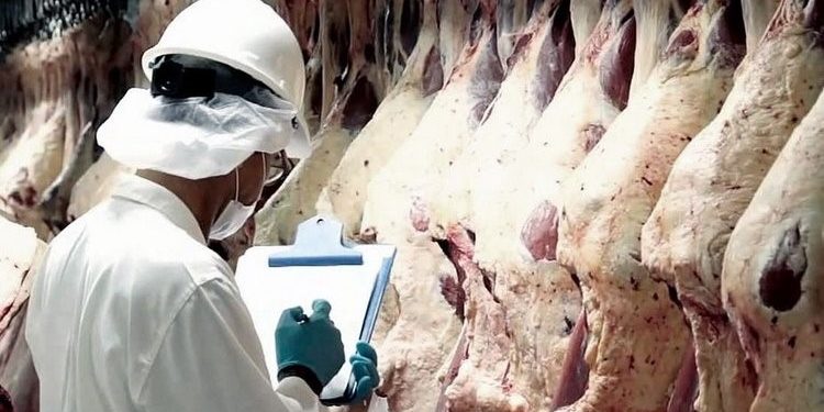 Números para entender la fuerte suba de la carne: Las exportaciones ya se llevan el 22% de la oferta