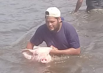 ¿Quién rescata al productor? La Bolsa de Rosario reclama que el Estado subsidie los seguros multirriesgo