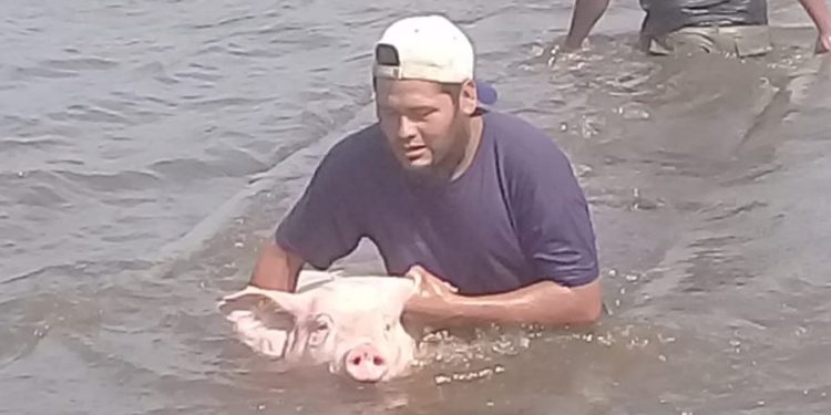 ¿Quién rescata al productor? La Bolsa de Rosario reclama que el Estado subsidie los seguros multirriesgo