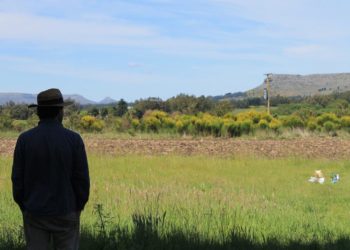 Sabores y saberes: Soguero y alfarero, cultiva zapallos para hacer dulce en Balcarce