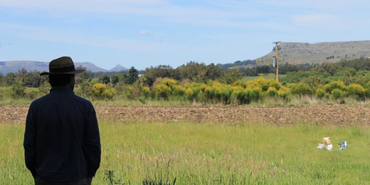 Sabores y saberes: Soguero y alfarero, cultiva zapallos para hacer dulce en Balcarce