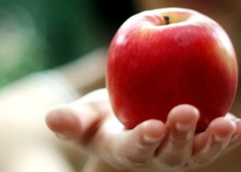 En plena cosecha, la manzana se vende 15 veces más cara de lo que cobra el productor