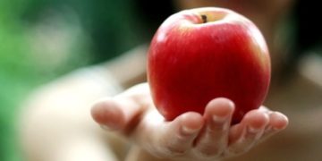 En plena cosecha, la manzana se vende 15 veces más cara de lo que cobra el productor