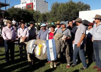 Altos costos y abigeato: La agenda ovina pendiente apareció en la Rural de Comodoro Rivadavia