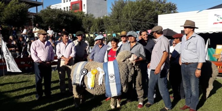 Altos costos y abigeato: La agenda ovina pendiente apareció en la Rural de Comodoro Rivadavia
