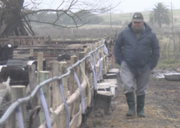 Luego de diez meses de pérdidas, los tamberos festejan su día con una rentabilidad de… 0,1%