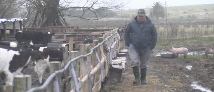 Luego de diez meses de pérdidas, los tamberos festejan su día con una rentabilidad de… 0,1%