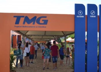 Bioceres buscó una socia en Brasil para desregular allí su trigo resistente a la sequía