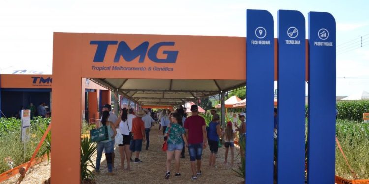 Bioceres buscó una socia en Brasil para desregular allí su trigo resistente a la sequía