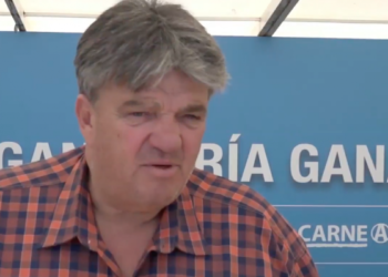 Chito polémico: El titular del IPCVA reclama más Estado y menos mercado en el negocio de la carne