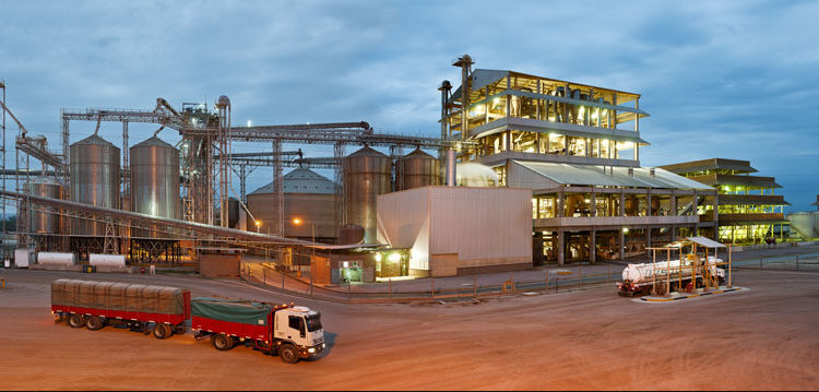 Tras intensas versiones sobre su cierre, la aceitera Viluco afirma que continuará operando