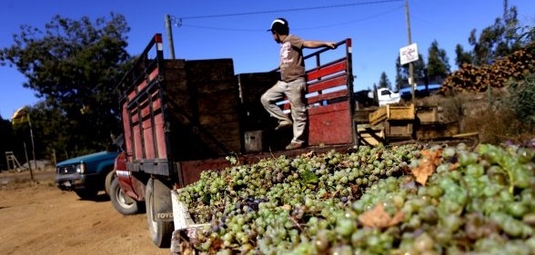 Mendoza desdobla: La política por un lado y los productores que se jodan