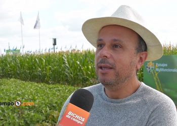 Antonio Aracre, de Syngenta: “Todos tenemos buenos productos. Hay que buscar diferenciarse ganando el corazón del productor”