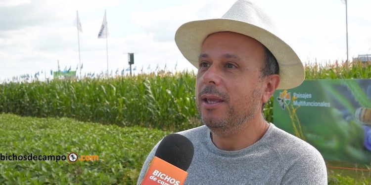 Antonio Aracre, de Syngenta: “Todos tenemos buenos productos. Hay que buscar diferenciarse ganando el corazón del productor”