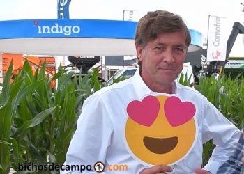 Los emoji del agro: Carlos Becco, de Indigo, está 😍 de su proyecto