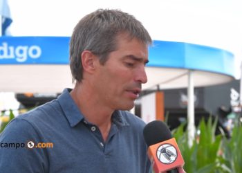 Paso a paso, los microorganismos buscan reemplazar a los insumos químicos en la agricultura