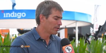 Paso a paso, los microorganismos buscan reemplazar a los insumos químicos en la agricultura