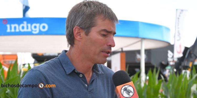 Paso a paso, los microorganismos buscan reemplazar a los insumos químicos en la agricultura