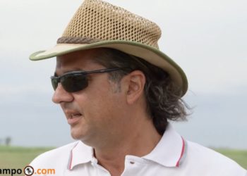 Marcos Formica, de Mainero: “Las máquinas forrajeras nacionales compiten muy bien con las importadas”