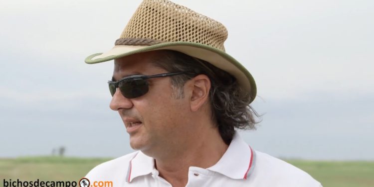 Marcos Formica, de Mainero: “Las máquinas forrajeras nacionales compiten muy bien con las importadas”