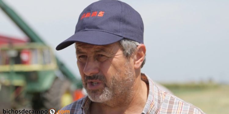 Walter Barneix: “El aumento de la carne ayudará a que se hagan más hectáreas para forraje”