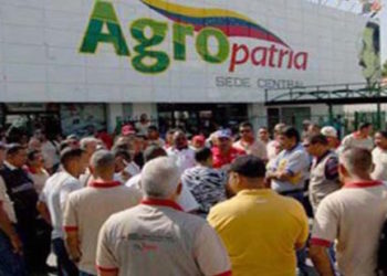 Sirlene Araujo Díaz: “En producción agropecuaria, Venezuela ha retrocedido 70 años”